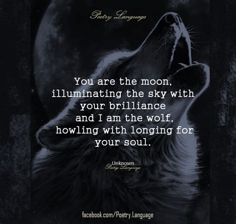 You Are The Moon Illuminating The Sky With Your Brilliance And I Am