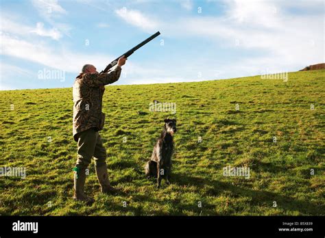 Pheasant Hunter Shooting Shotgun Skywards At Driven Pheasants As