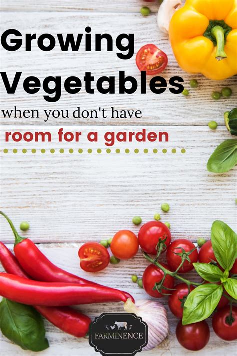 Learn How To Start Growing Vegetables In Pots And Containers No Matter