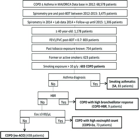 Strobe Flow Chart Copd Chronic Obstructive Pulmonary Disease Bdt