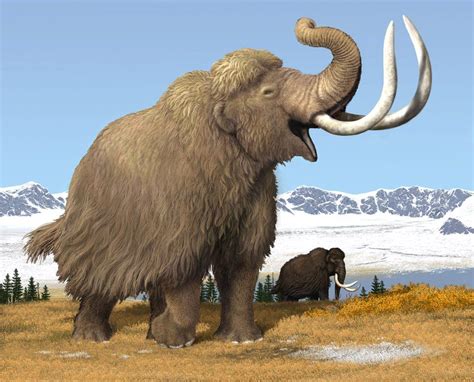Wooly Mammoth Prehistoric Wildlife Prehistoric Animals Extinct Animals
