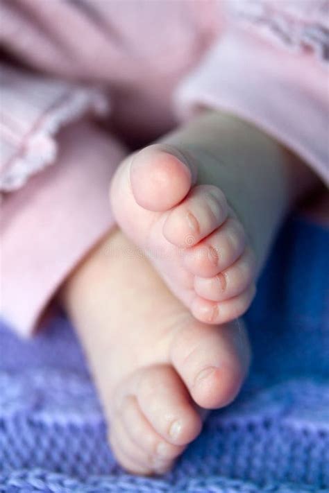 Newborn Baby Feet Stock Photo Image Of Toenail Months 77253058