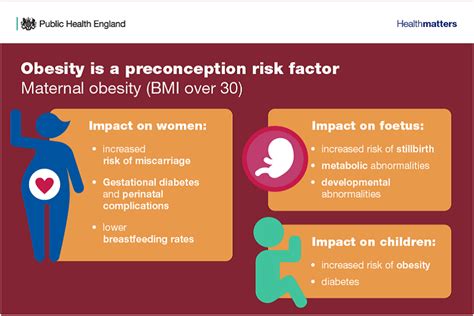 Obesity A Significant Preconception Risk Factor The P3