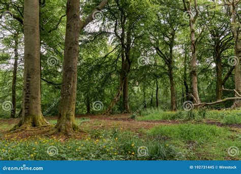 Beautiful Scenery Of Polkemmet Country Park With Breathtaking Greenery