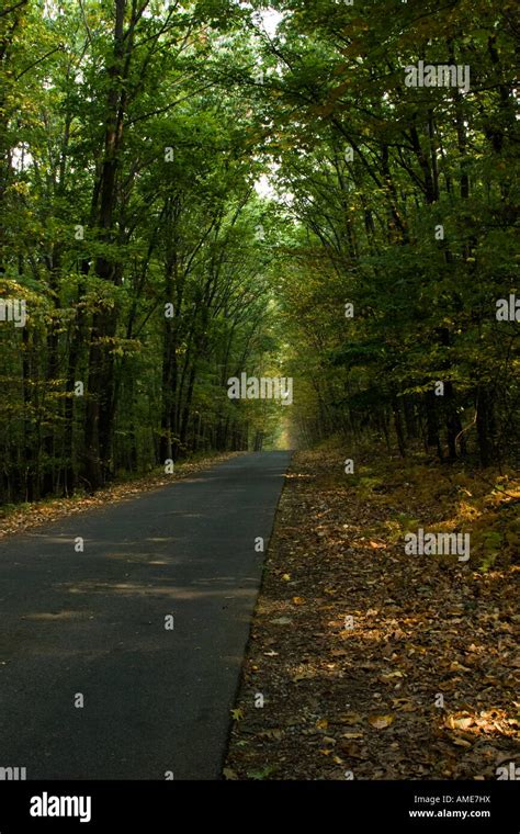 One Way Road Through The Woods Stock Photo Alamy