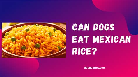 Can Dogs Eat Mexican Rice A Nutritional Perspective Dog Queries