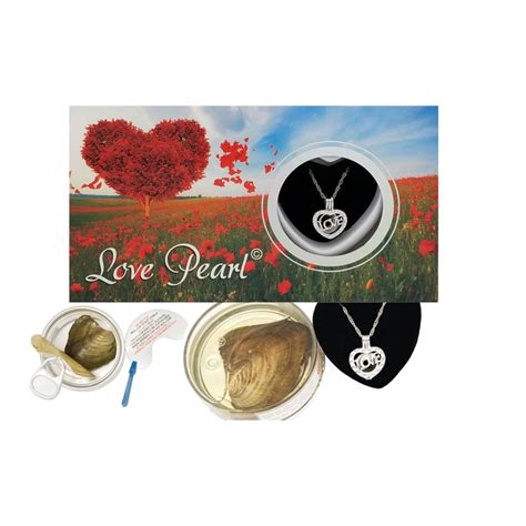 love pearl heart love wish pearl kit cultured pearl necklace set with stainless steel chain 16