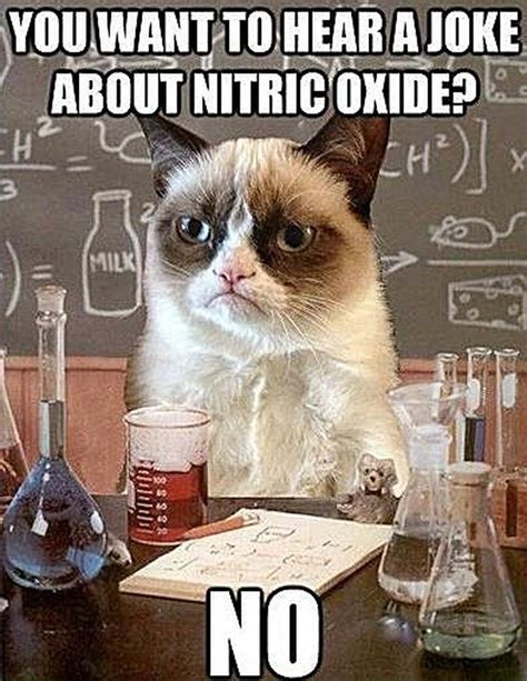 The Best Of The Chemistry Cat Meme Chemistry Jokes Chemistry Cat