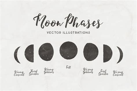 Moon Phases Free Vector Illustrations — Medialoot