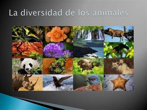 Biodiversidad La Diversidad De Los Seres Vivos Y Sus Interacciones Images