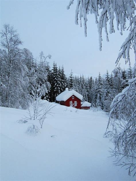 Red House In Frozen Trees Red Cottage Cottage In The Woods Little