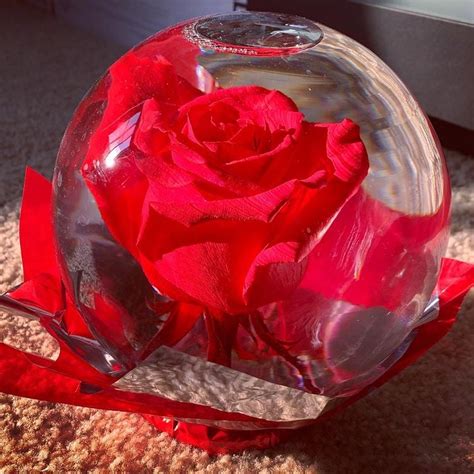Where To Buy Rose Globes For Valentine S Day Popsugar Love Uk