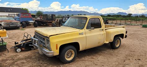 My recent purchase : r/Squarebody
