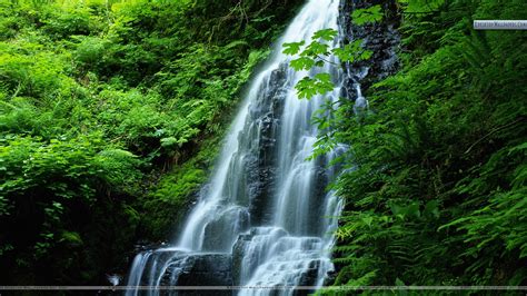 Movement In Nature Oregon Wallpaper HD Wallpapers Download Free Map Images Wallpaper [wallpaper376.blogspot.com]