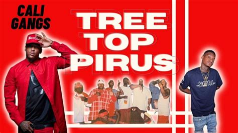 Tree Top Piru Blood Gang Yg And Slim 400 Set California Gangs Youtube