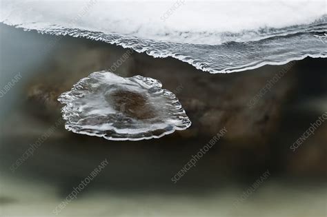 River Ice Forming Stock Image C0215561 Science Photo Library