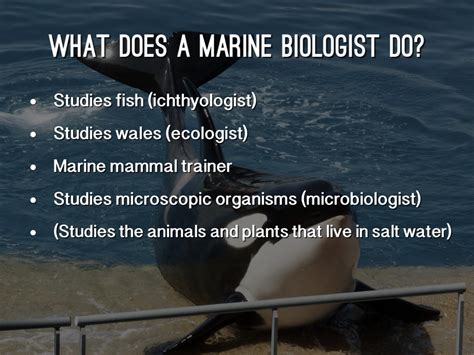 Marine Biology By Becca Keaton