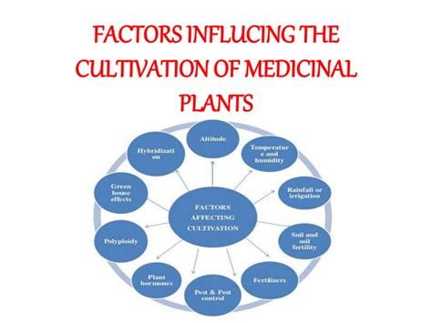 Factors Influcing The Cultivation Of Medicinal Plants Ppt
