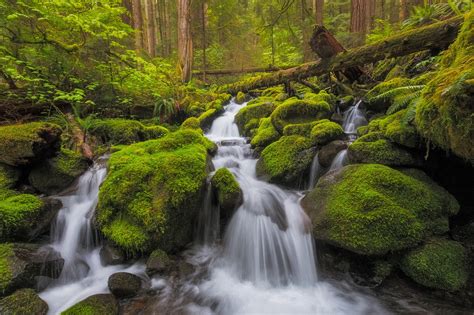 Nature Stream Hd Wallpaper