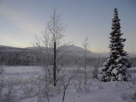 Nå blir det enda kaldere. Snö - Wikipedia