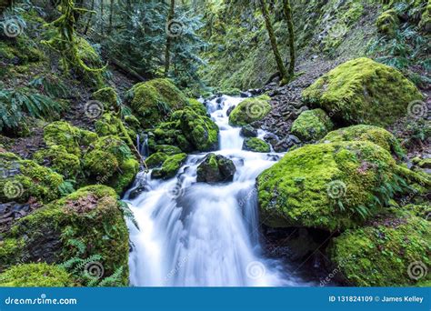 Iconic Moss Covered Rocks At Stream In Oregon Columbia River Gorge