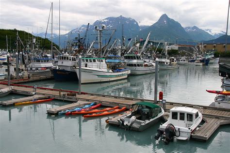 Valdez Harbour Fishing Town Oil Terminal And Heliskiing Flickr