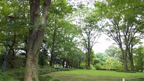 赤塚植物園 - YouTube