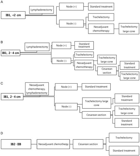 Guidelines Of An International Consensus Algorithm Of Cervical Cancer