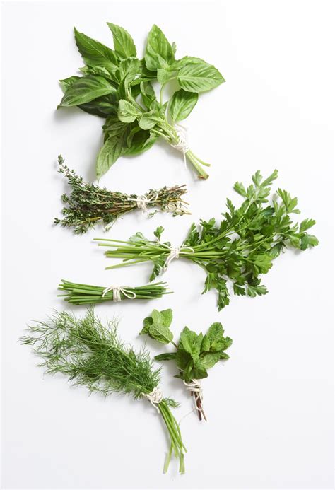 How To Freeze Herbs