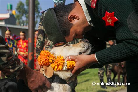 In Pics Nepal Army Celebrating Kukur Tihar