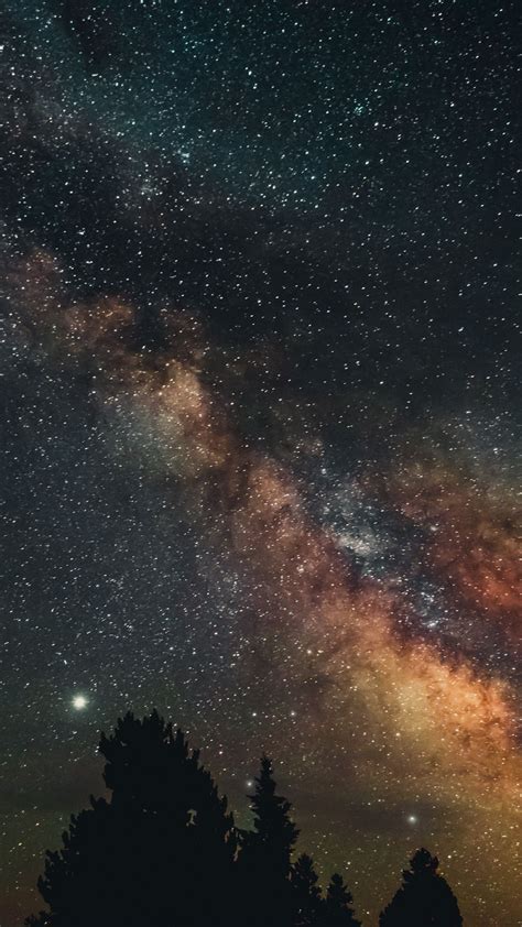 Download Wallpaper 1080x1920 Trees Nebula Starry Sky Stars Night