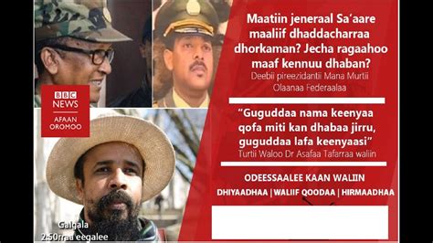 Search the bbc search the bbc. BBC News Afaan Oromo Friday|June 26 2019|Oduu Jimataa|BBC Afaan Oromo news today - YouTube