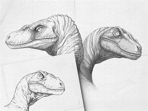 Jurassic World Raptor Sketches Dinosaur Sketch Sketches Dinosaur Art