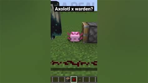 Axolotl X Warden Shorts Youtube