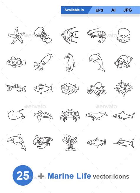 Marine Life Outlines Vector Icons Attached Zip Folder Contains Eps
