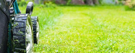Spring Lawn Care And Its Importance Huskiez Landscaping