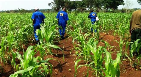 RDC  l'Etat débloque 36 millions USD pour un Programme agricole dans