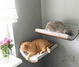 Images of Cat Beds Best