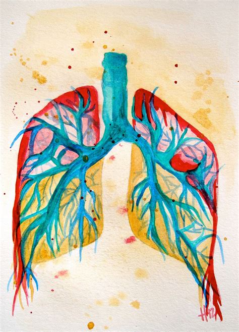 Lungs Anatomy Colorful Original Watercolor Painting 5x7 2500 Via