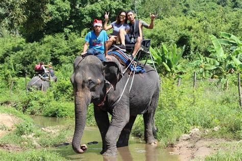 Podělte se o své zkušenosti! Elephant trekking - Yachts & Tours on Koh Samui