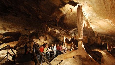 Jenolan Caves Colourful Day Trip Departs Sydney Epic Deals And Last