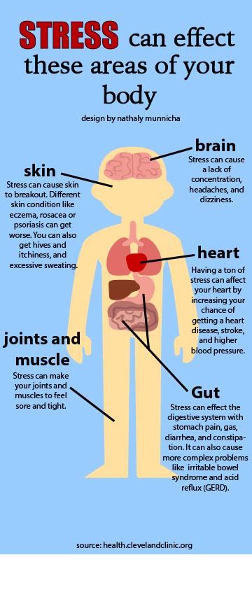 Stress And The Effects On Your Body Cnhsmedia