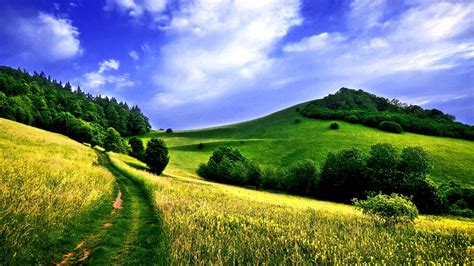 Pathway Between Field And Mountain With Green Grass Under Cloudy Blue