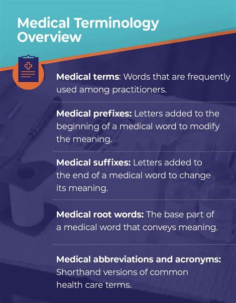 Medical Translation Agency How To Choose The Right One