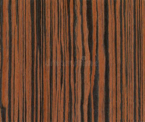 Ebony Wood Texture Stock Image Image Of Floorboard Curved 21667657