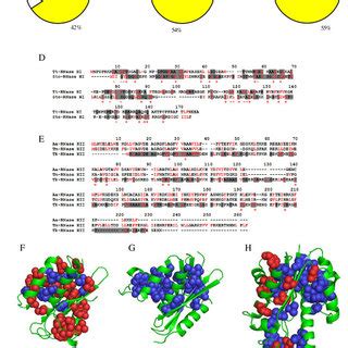 Characteristics Of Rnases H A C Pie Diagrams Representing The Download Scientific Diagram