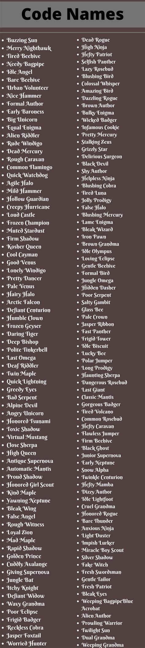 code names 400 best and cool code names