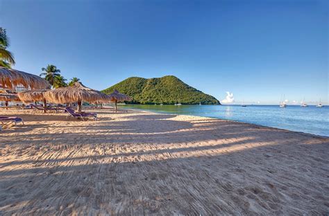 Mystique St Lucia By Royalton Sackville Travel Services