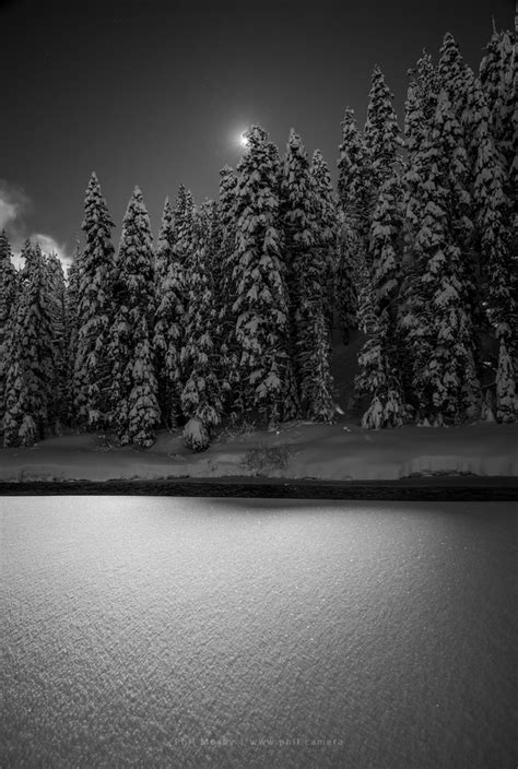 Untouched Snow On The Banks Of The Truckee River Photorator