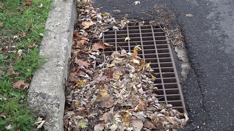 Leaves Clogging Storm Drains Causing Drainage Issues